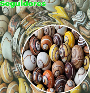 Jogo do caracol